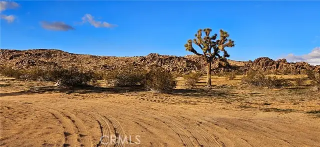 802 Pineridge Road, Adelanto, CA 92301 - Image #2