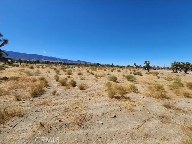 11226 Primavera Road, Pinon Hills, CA 92372 - Image #1