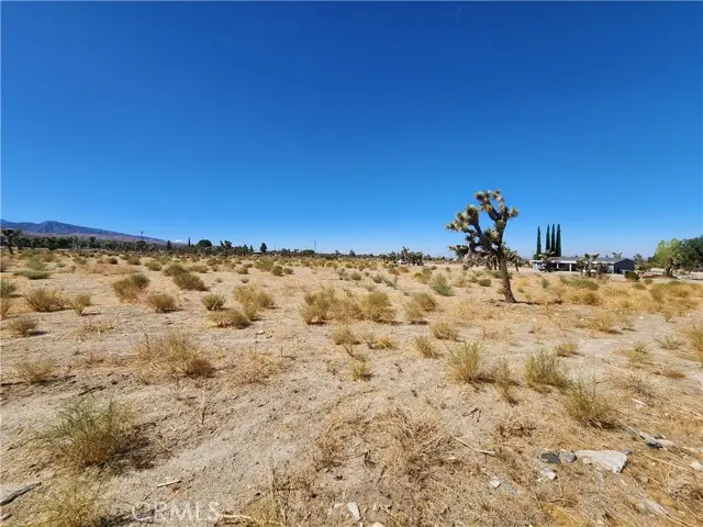 11226 Primavera Road, Pinon Hills, CA 92372 - Image #3