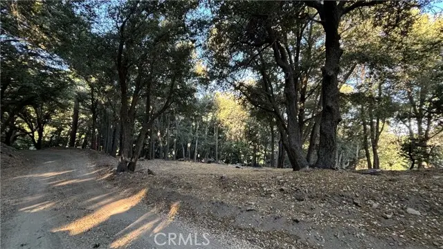 722 Mojave River Road, Cedarpines Park, CA 92322 - Image #2