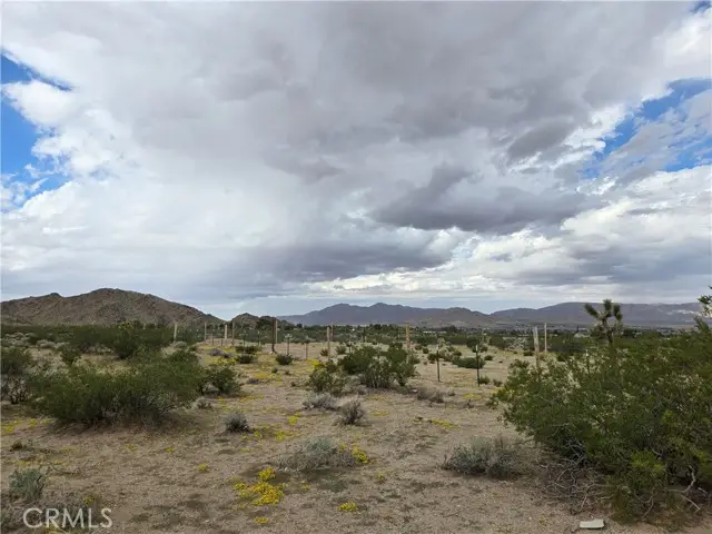 9036 Briar, Lucerne Valley, CA 92356 - Image #3
