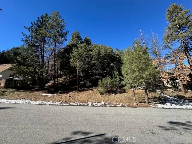 0 Flume Canyon, Wrightwood, CA 92397 - #1