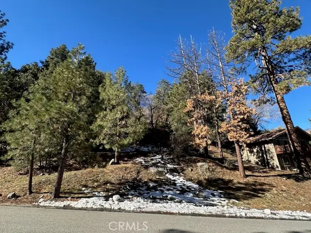 0 Flume Canyon, Wrightwood, CA 92397 - #3