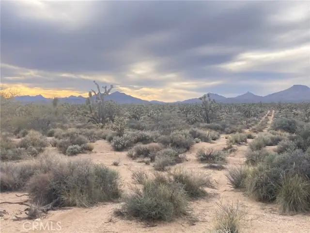 0 Cedar Canyon, Essex, CA 92332 - Image #1