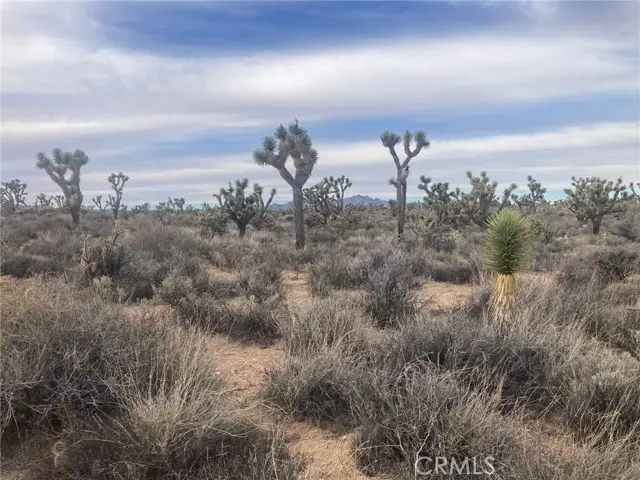 0 Cedar Canyon, Essex, CA 92332 - Image #2