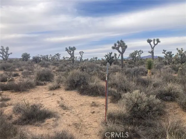 0 Cedar Canyon, Essex, CA 92332 - Image #3