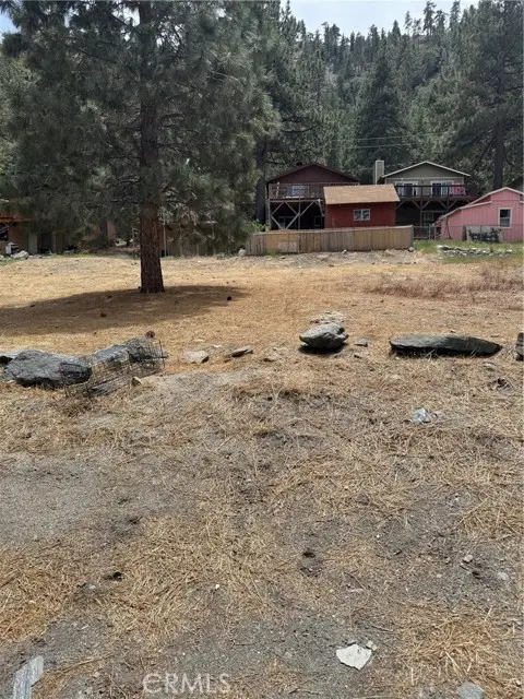 999 Buckthorn Road, Wrightwood, CA 92397 - #2