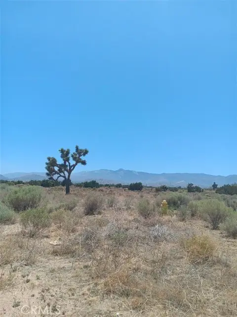 0 Yucca Terrace Road, Phelan, CA 92371 - #1