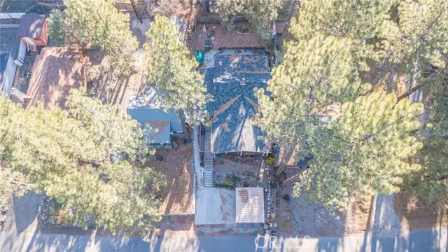 1471 Irene, Wrightwood, CA 92397 - #2