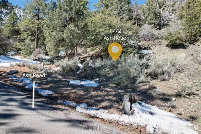 1772 Ash, Wrightwood, CA 92397 - #1