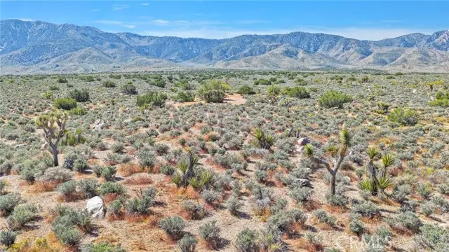 62 Mesa Avenue, Lucerne Valley, CA 92356 - #3