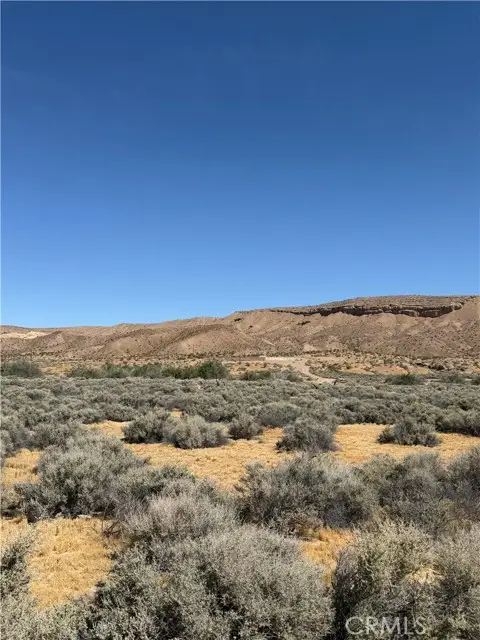 31980 Nelson, Barstow, CA 92311 - #2