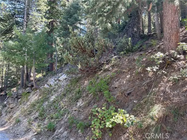 28 Lot 28 Forest Lane, Twin Peaks, CA 92391