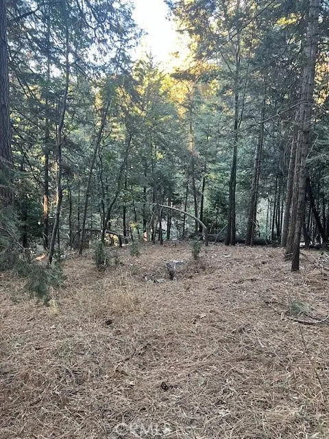 0 Lake Forest/boulder, Twin Peaks, CA 92391 - Image #2