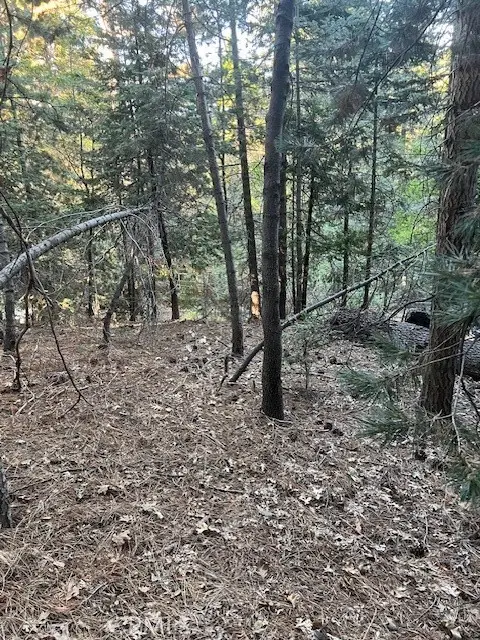 0 Lake Forest/boulder, Twin Peaks, CA 92391 - Image #3