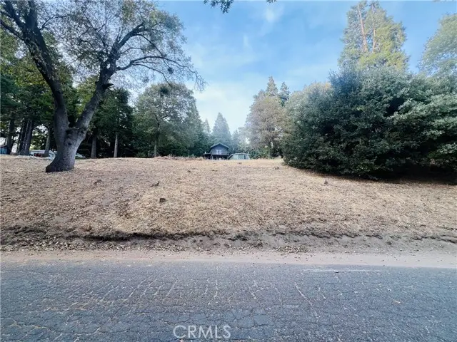 0 Mojave River Road, Cedarpines Park, CA 92322 - Image #1