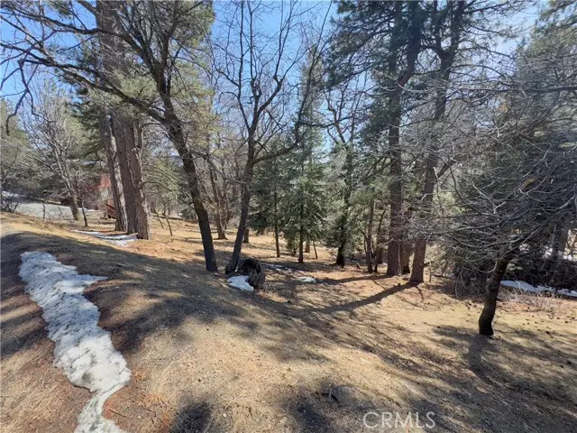 0 Ca-18, Running Springs, CA 92382 - #2