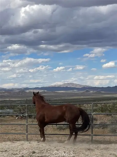 7077 Camp Rock Road, Lucerne Valley, CA 92356 - Image #1