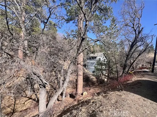 1230 S Minton Avenue, Big Bear City, CA 92314