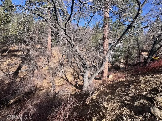 1230 S Minton Avenue, Big Bear City, CA 92314 - Image #2