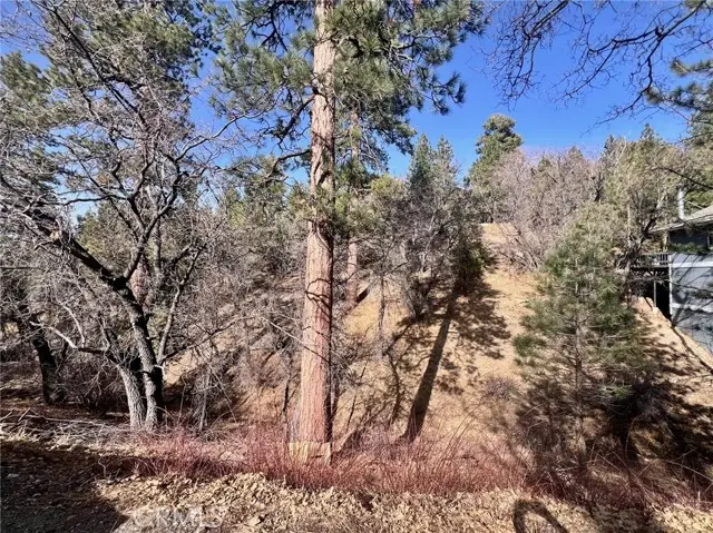 1230 S Minton Avenue, Big Bear City, CA 92314 - Image #3