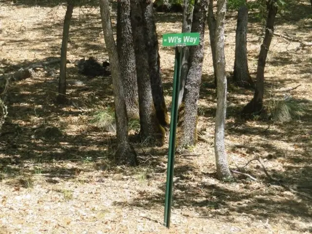 #3