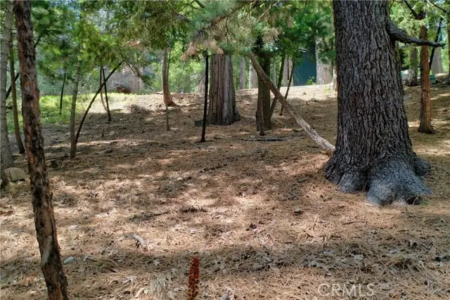 0 Terrace, Lake Arrowhead, CA 92352 - Image #1