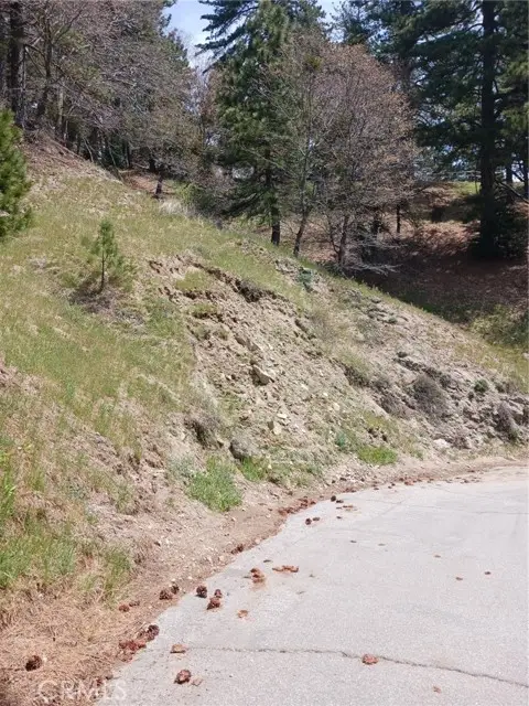 21858 Fern Canyon Road, Cedarpines Park, CA 92322 - Image #1