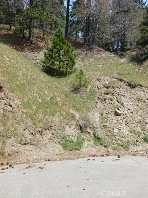 21858 Fern Canyon Road, Cedarpines Park, CA 92322 - Image #3