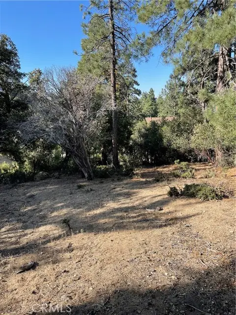 0 Valley View Drive, Idyllwild, CA 92561
