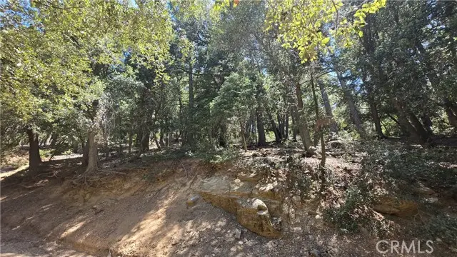 #3
