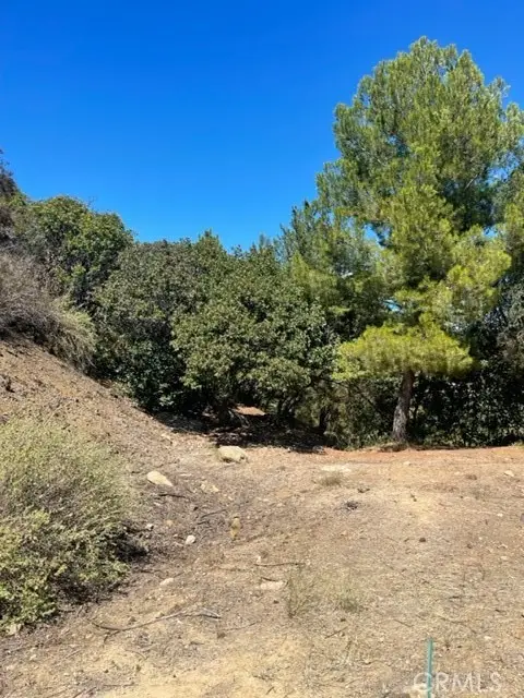 0 Subdivision 1033, Lot 19, Los Angeles, CA 90077
