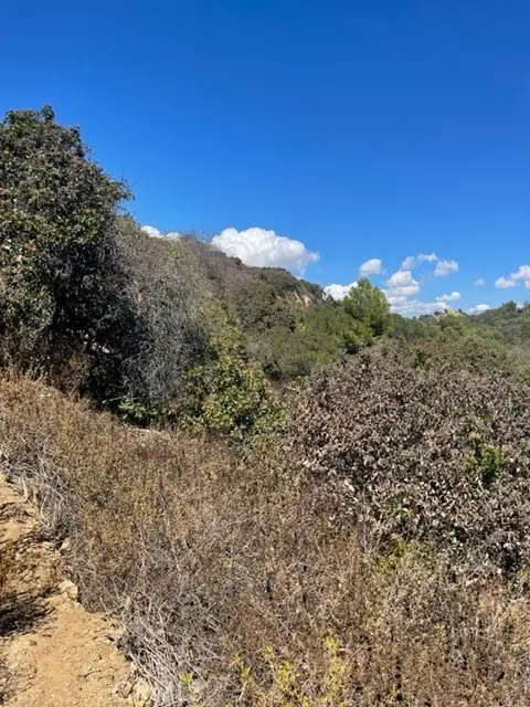 0 Subdivision 1033, Lot 19, Los Angeles, CA 90077 - Image #2