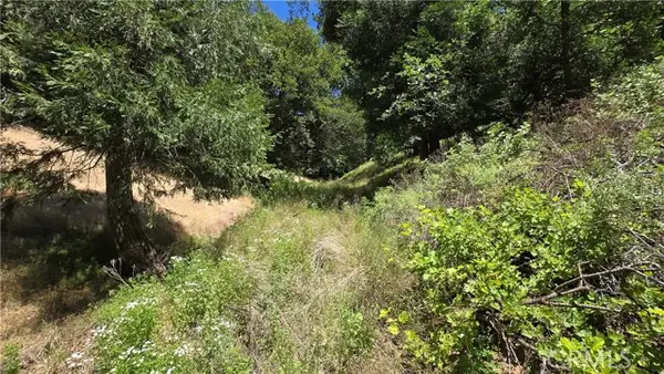 0 Hope Lane, Cedarpines Park, CA 92322