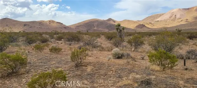 #2