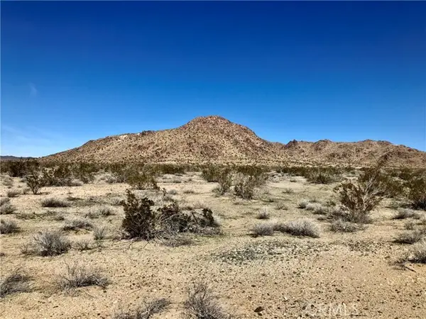 0 Palomino Road, Helendale, CA 92342