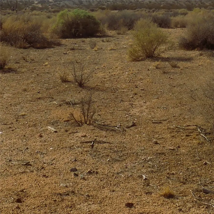 9 Pipeline Road, Boron, CA 93516 - Image #3