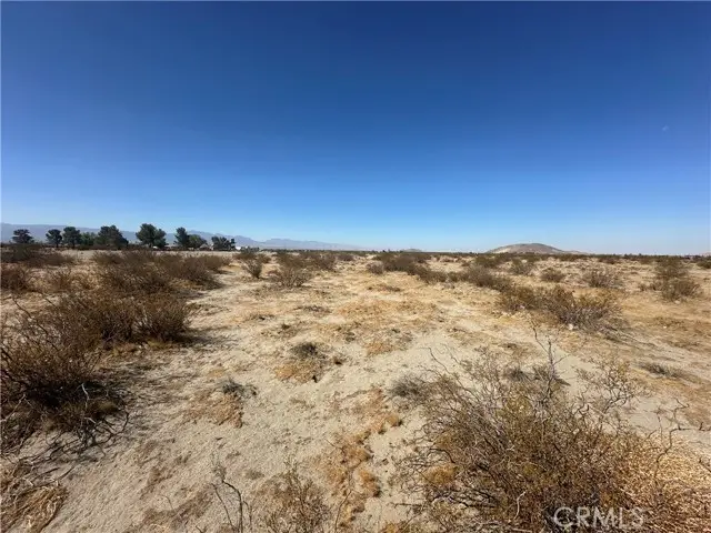 0 Tanner Road, El Mirage, CA 92301 - Image #2