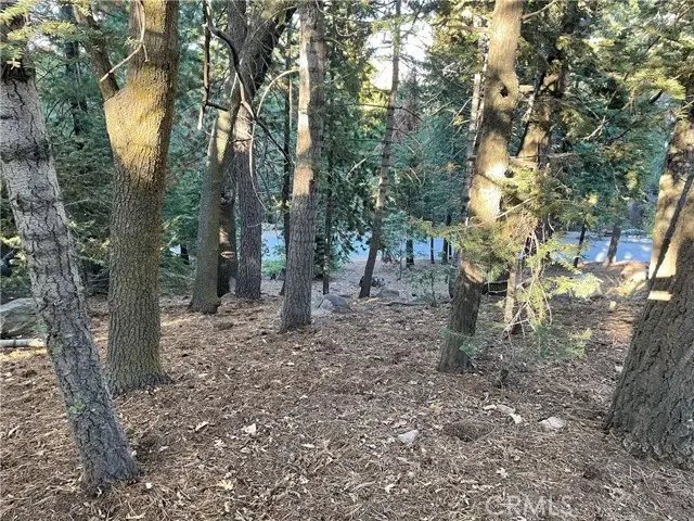 26405 Walnut Hills, Lake Arrowhead, CA 92391 - Image #2