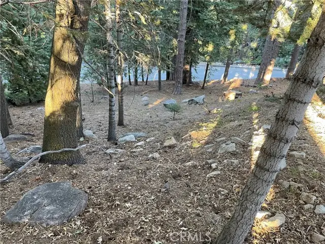 26405 Walnut Hills, Lake Arrowhead, CA 92391 - Image #3