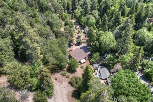 29548 Hook Creek, Cedar Glen, CA 92321 - Image #3