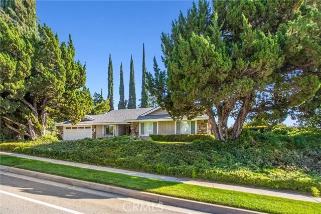 446 E Sunset Drive, Redlands, CA 92373 - Image #3