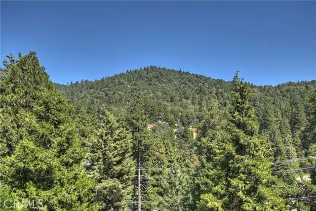 489 Dorn, Crestline, CA 92325 - #3