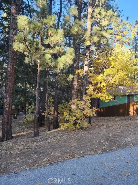42736 Willow Avenue, Big Bear Lake, CA 92315 - Image #1
