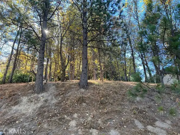 82 Pixie, Running Springs, CA 92382