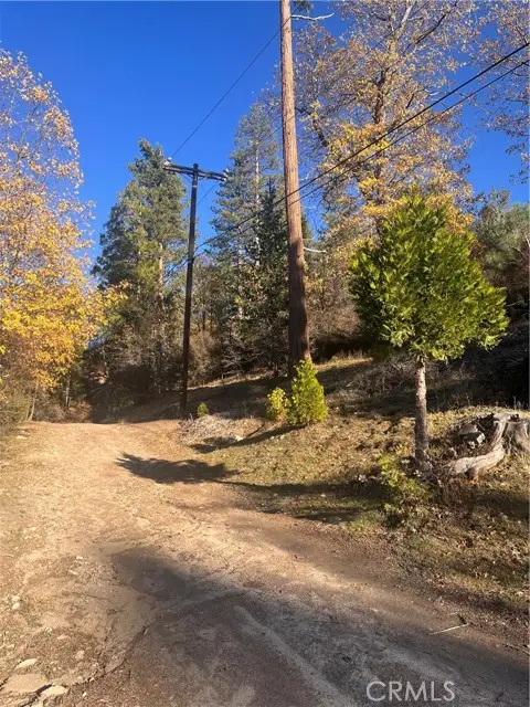 29834 Juniper Drive, Cedar Glen, CA 92321 - Image #1