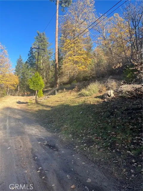 29834 Juniper Drive, Cedar Glen, CA 92321 - Image #2