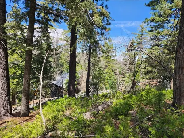 586 Rose, Twin Peaks, CA 92391