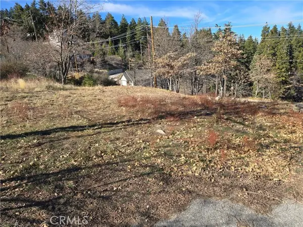 2350 Deep Creek, Running Springs, CA 92382