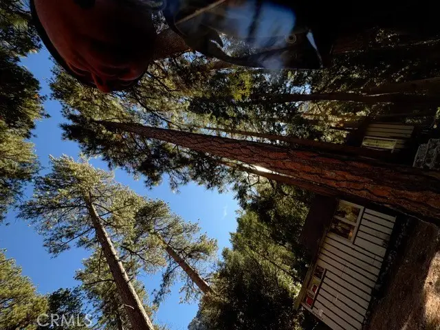 9202 Wood, Forest Falls, CA 92339 - Image #3